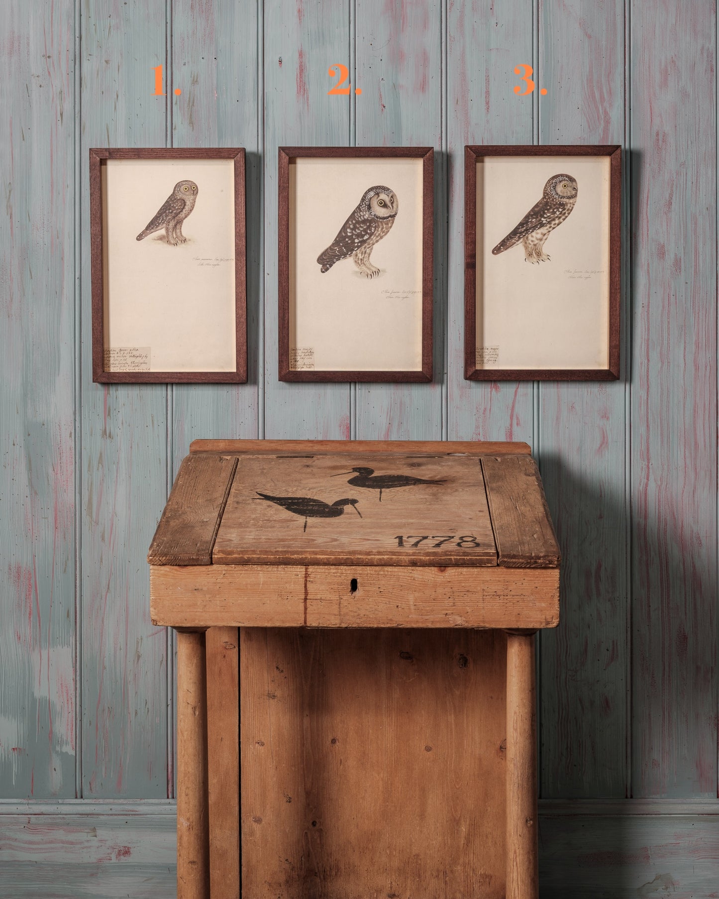 Collection of Antique Owl Lithographs