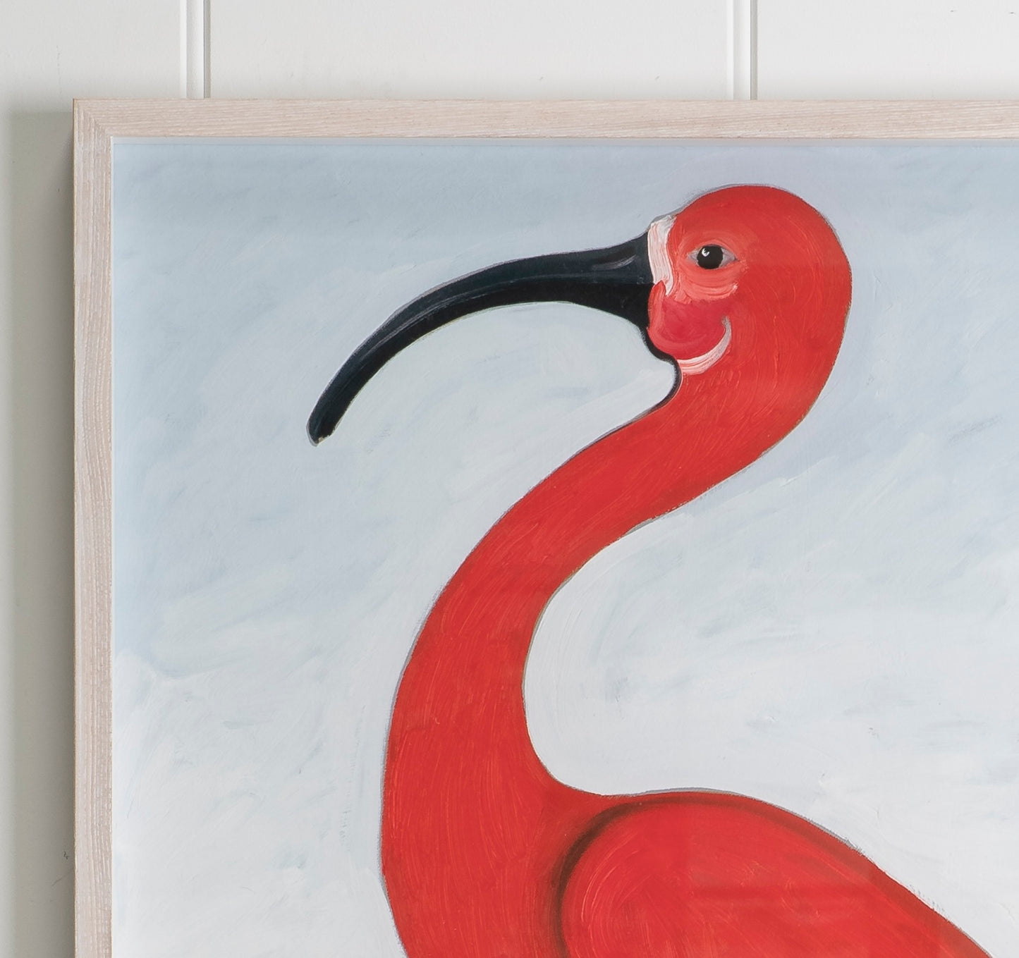 "Bird of Paradise" Framed Print