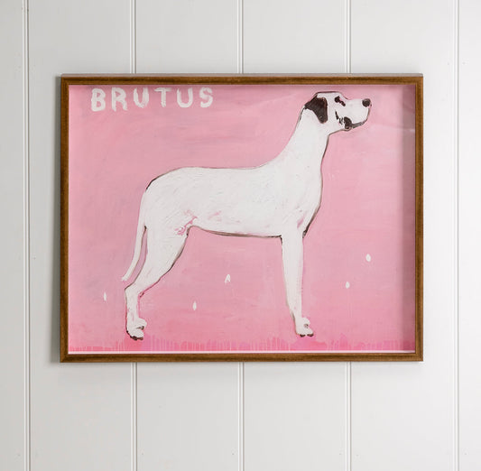 "Brutus" Framed Print