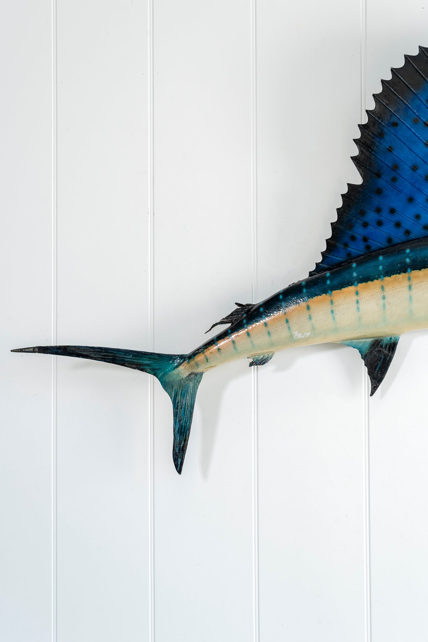 Large Sailfish Model