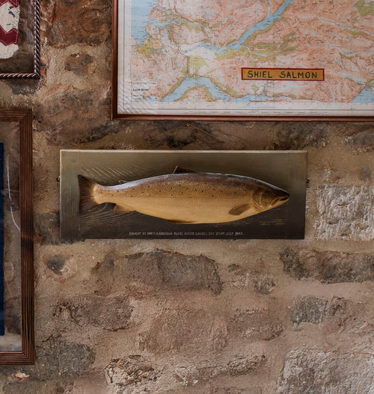 P.D Mallochs Carved Salmon Trophy