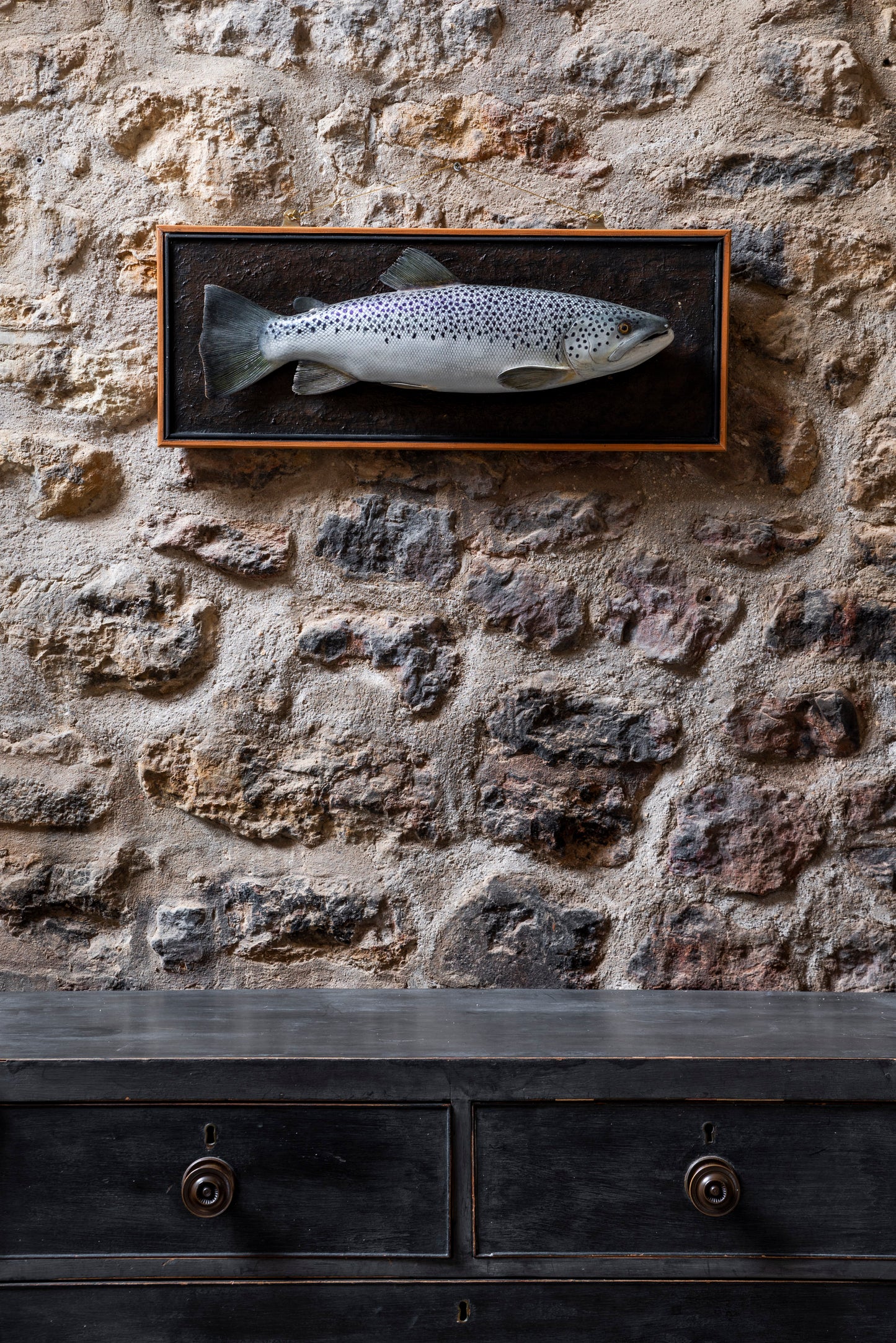 Decorative Trout on Board