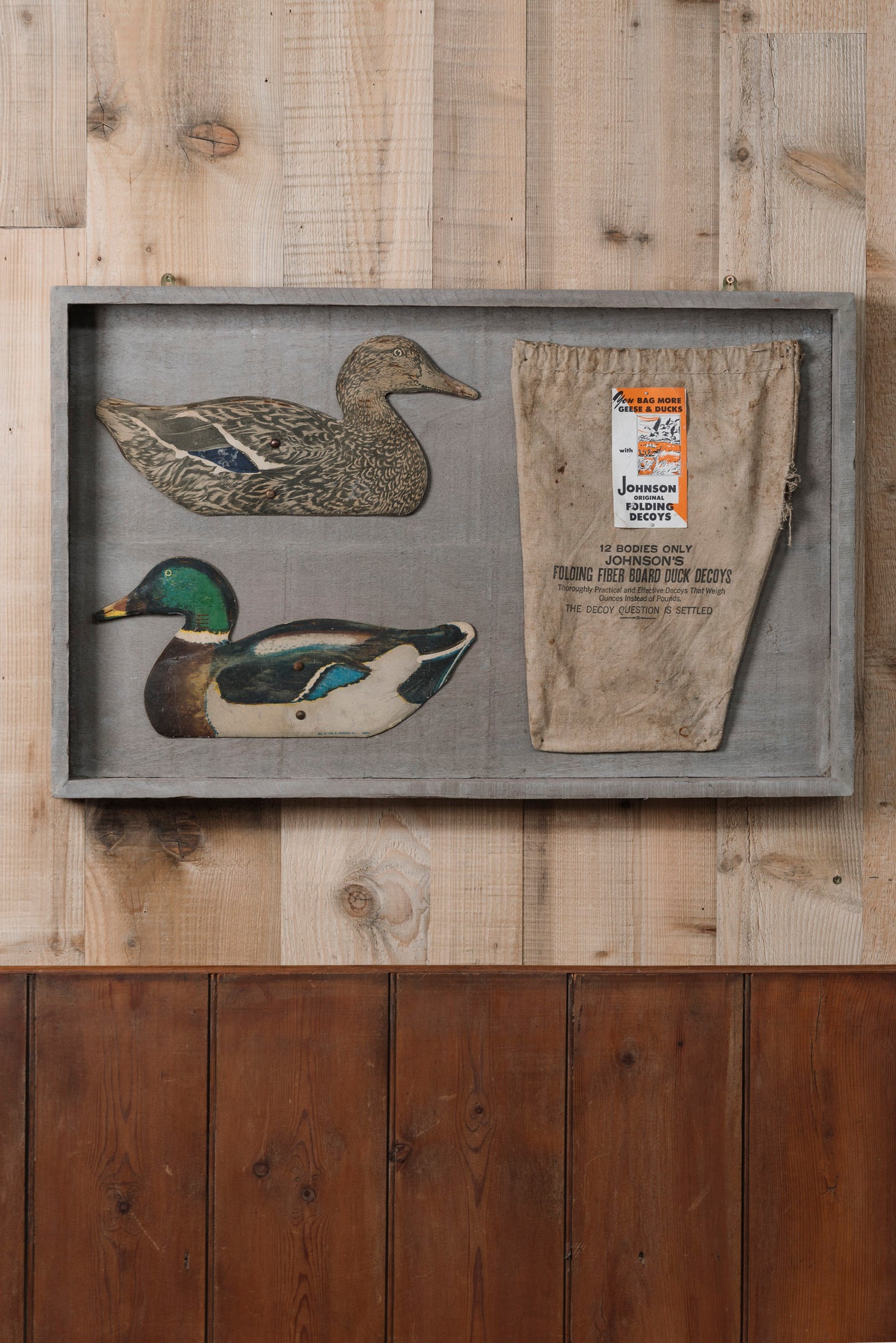 Johnson's Mounted Decoy Ducks