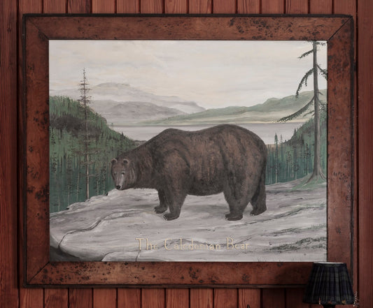 The Caledonian Bear