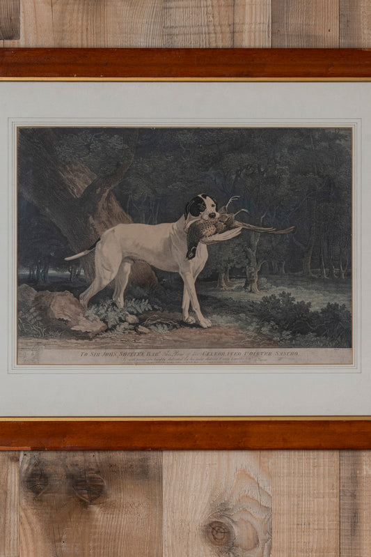 "Celebrated Pointer" Framed Print