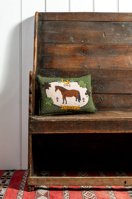 "Luck of the Irish" Needlepoint Cushion