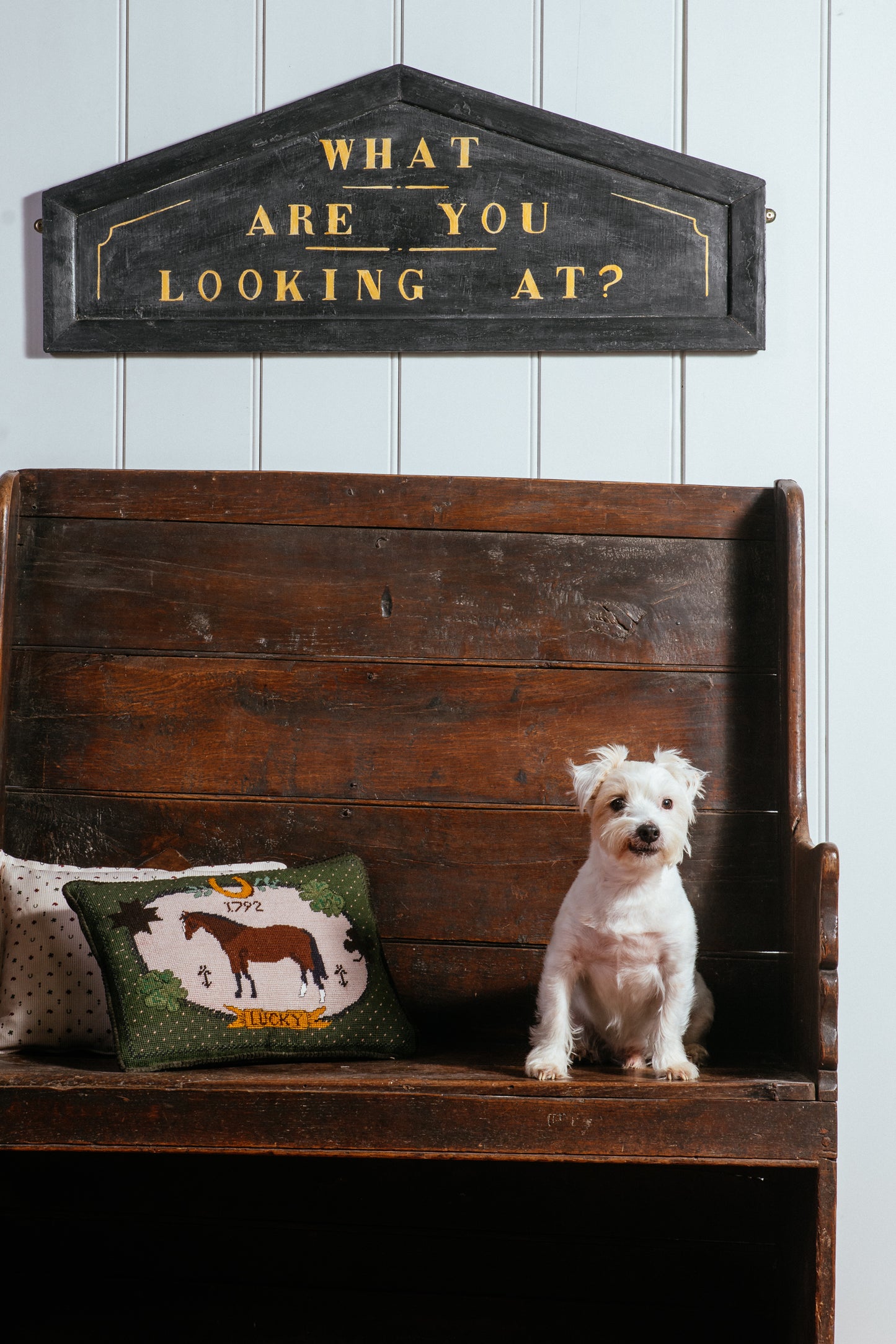 "Luck of the Irish" Needlepoint Cushion