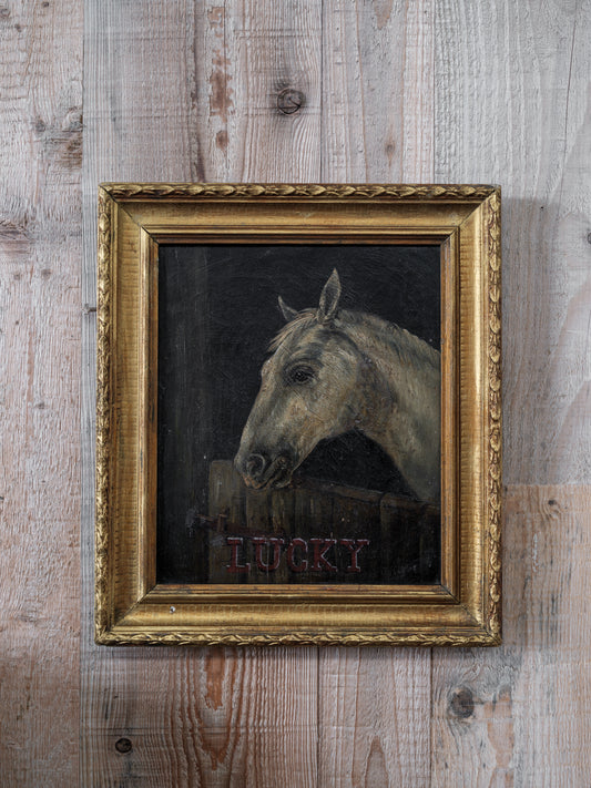 "Lucky" Horse Portrait
