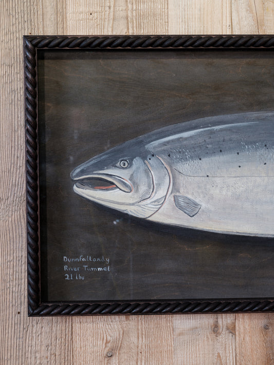 "The Salmon" Framed Print