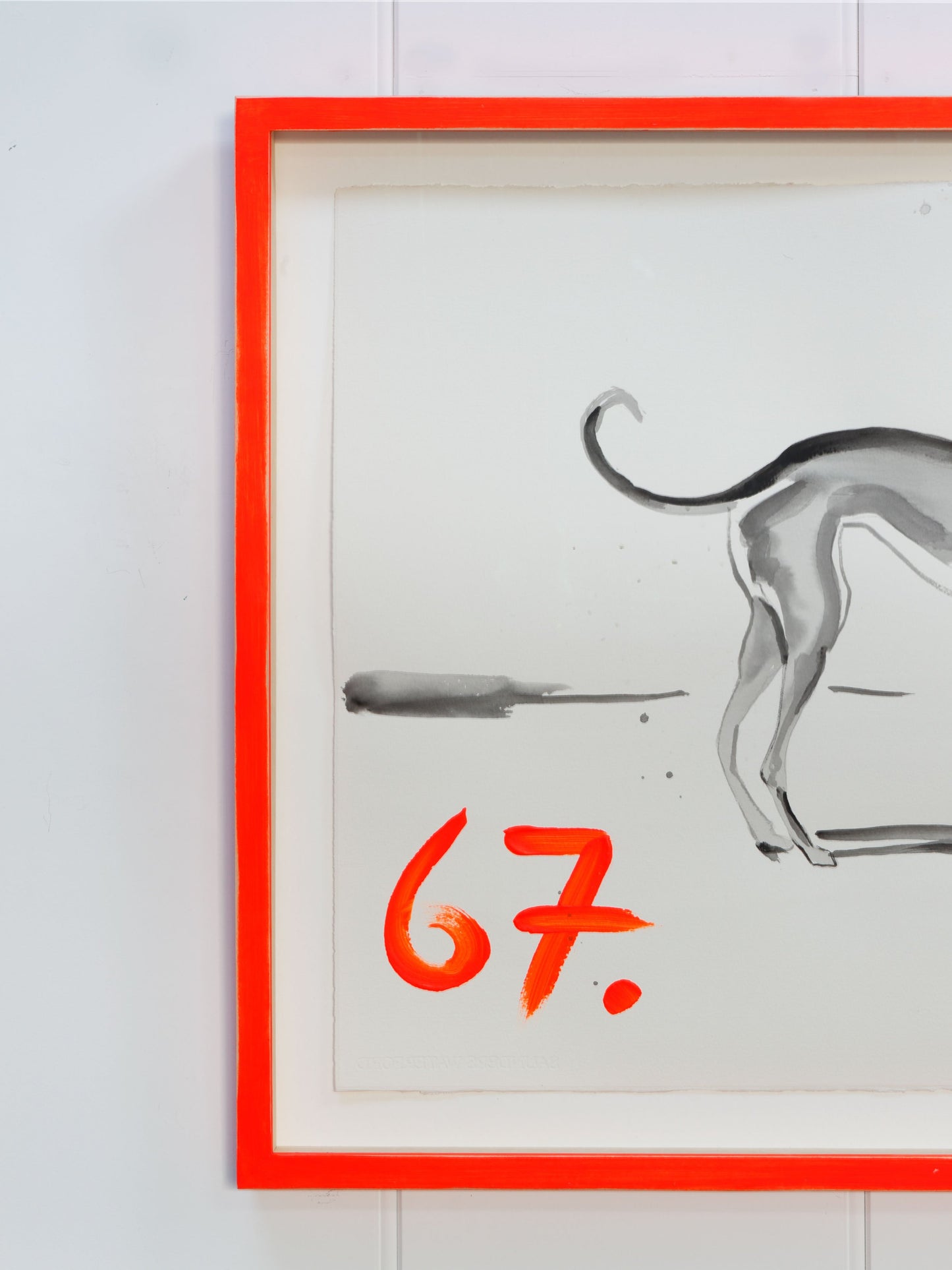 Lurcher Number 67