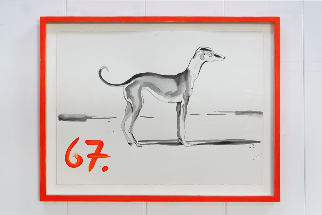Lurcher Number 67
