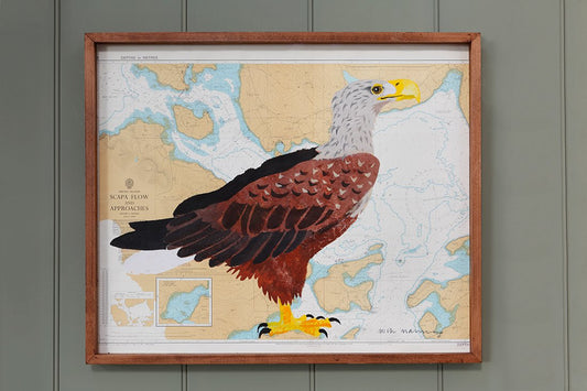 Eagle on Map