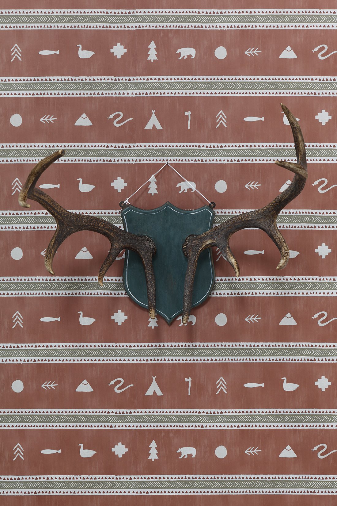 Mounted Antlers
