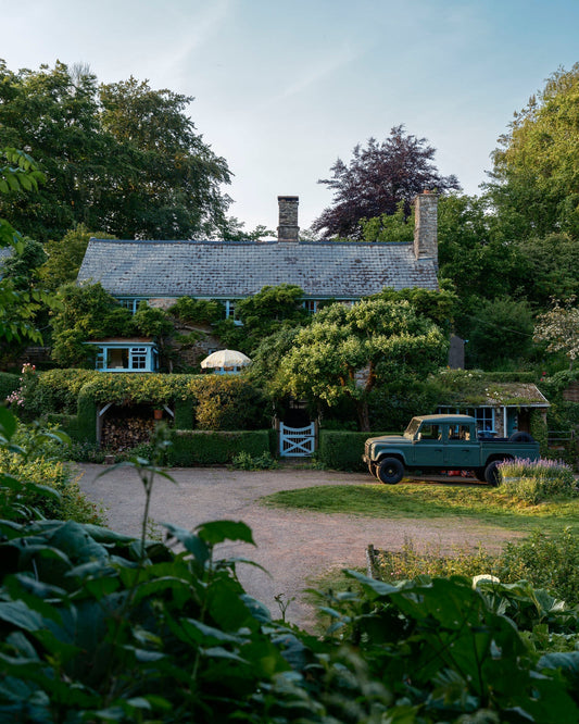 Tom's House