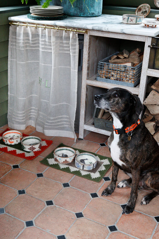 Ceramic Dog Bowls
