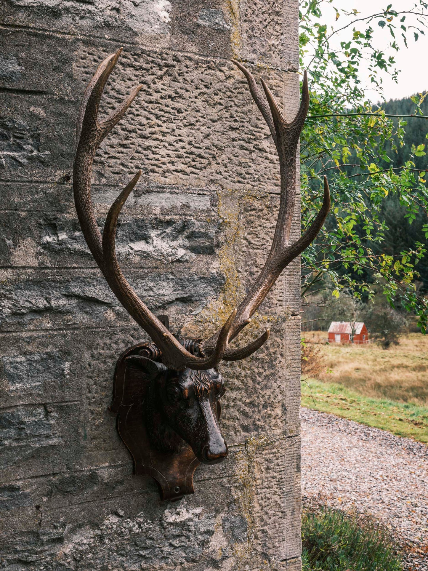 19th Century Carved Wooden Stags Head