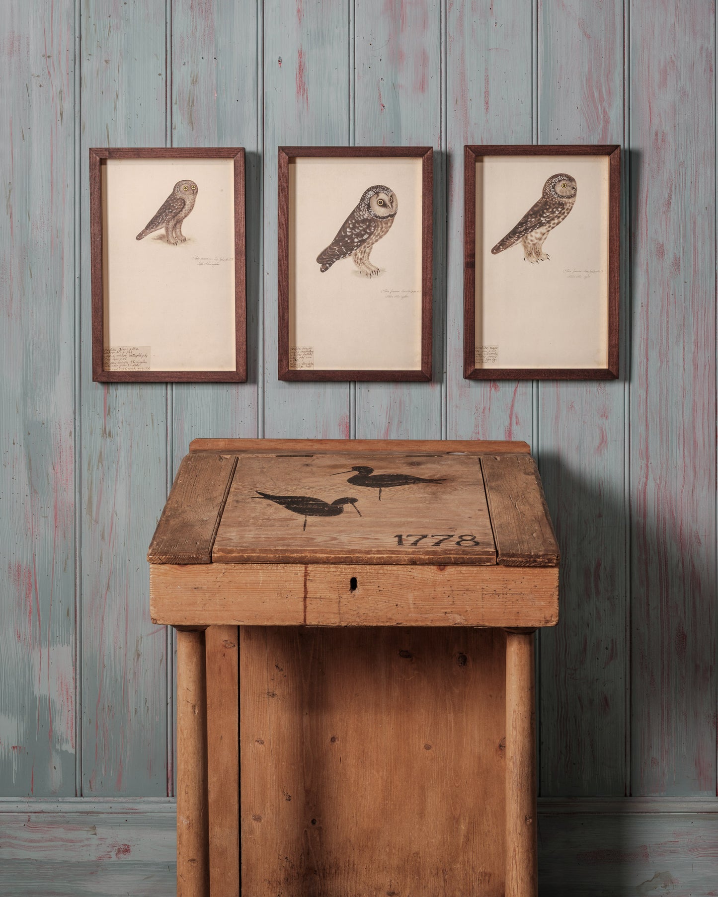 Collection of Antique Owl Lithographs