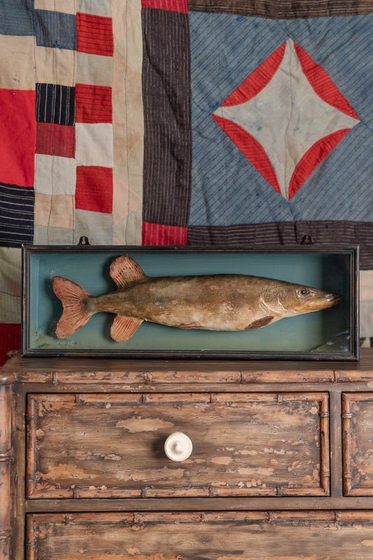 Antique Cased Pike