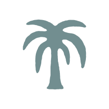 Hand drawn illustration of a palm tree