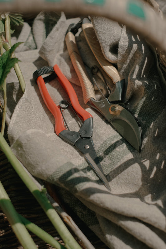 Niwaki Garden Snips