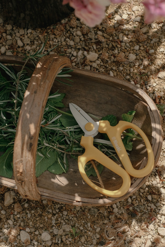 Vintage Sussex Trug
