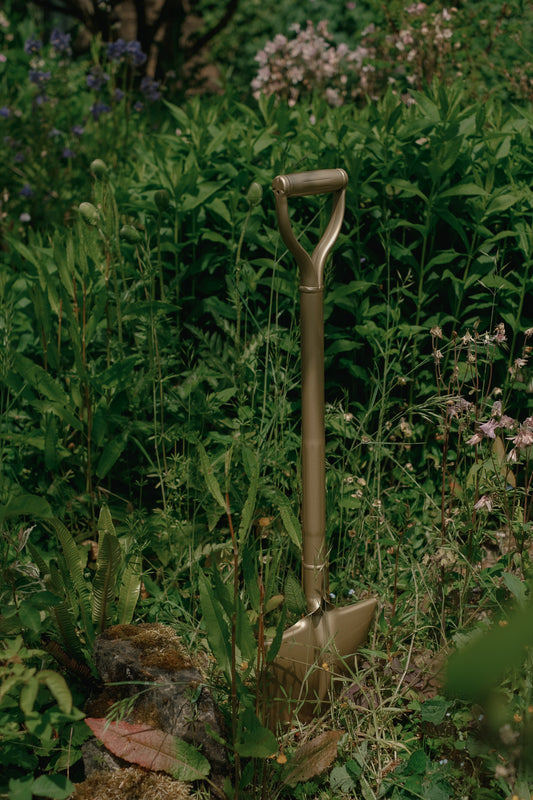 The Golden Spade
