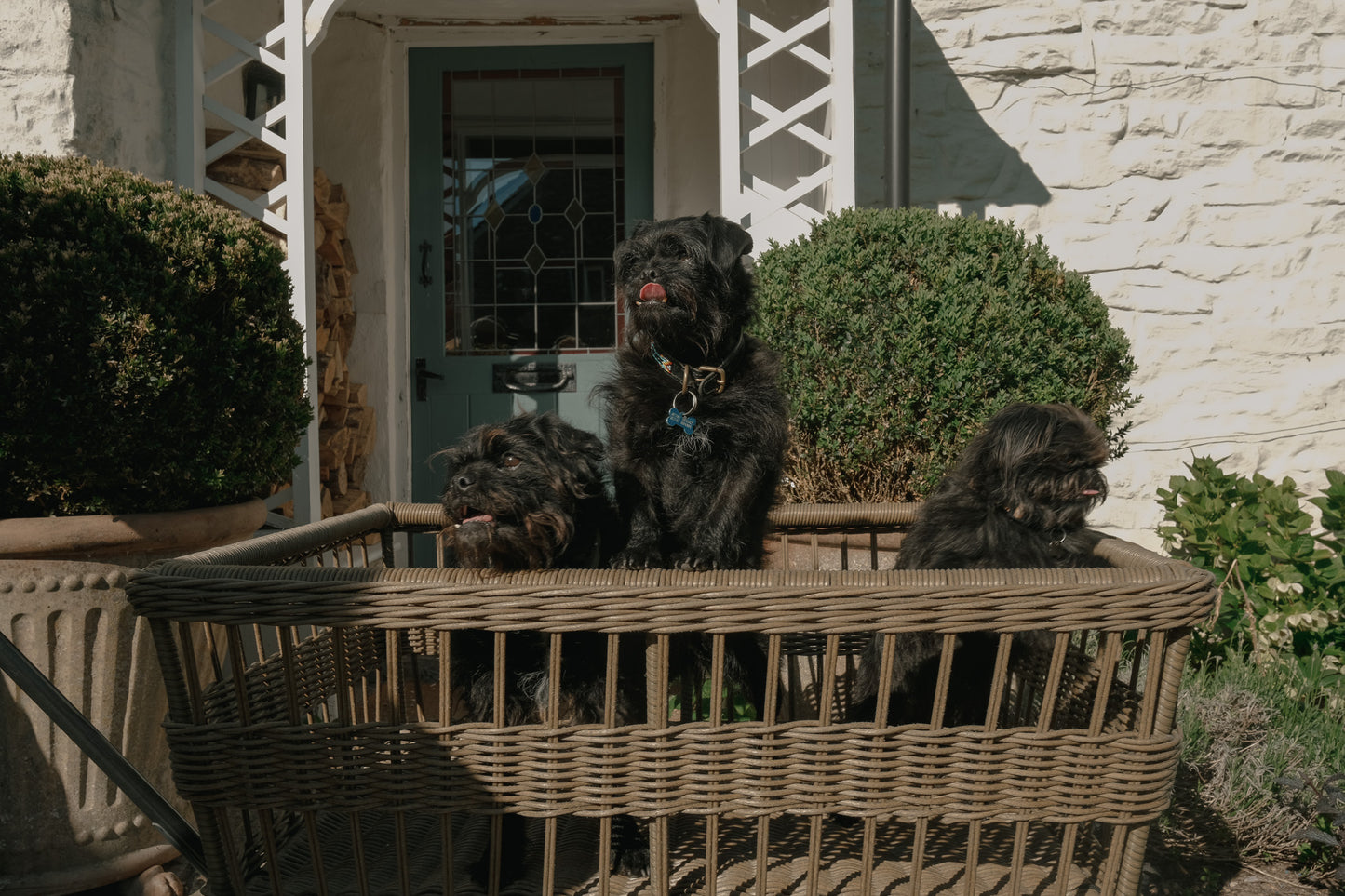 The Wicker Garden Wagon
