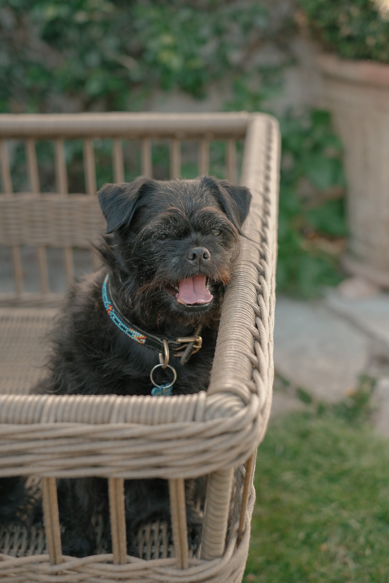 The Wicker Garden Wagon