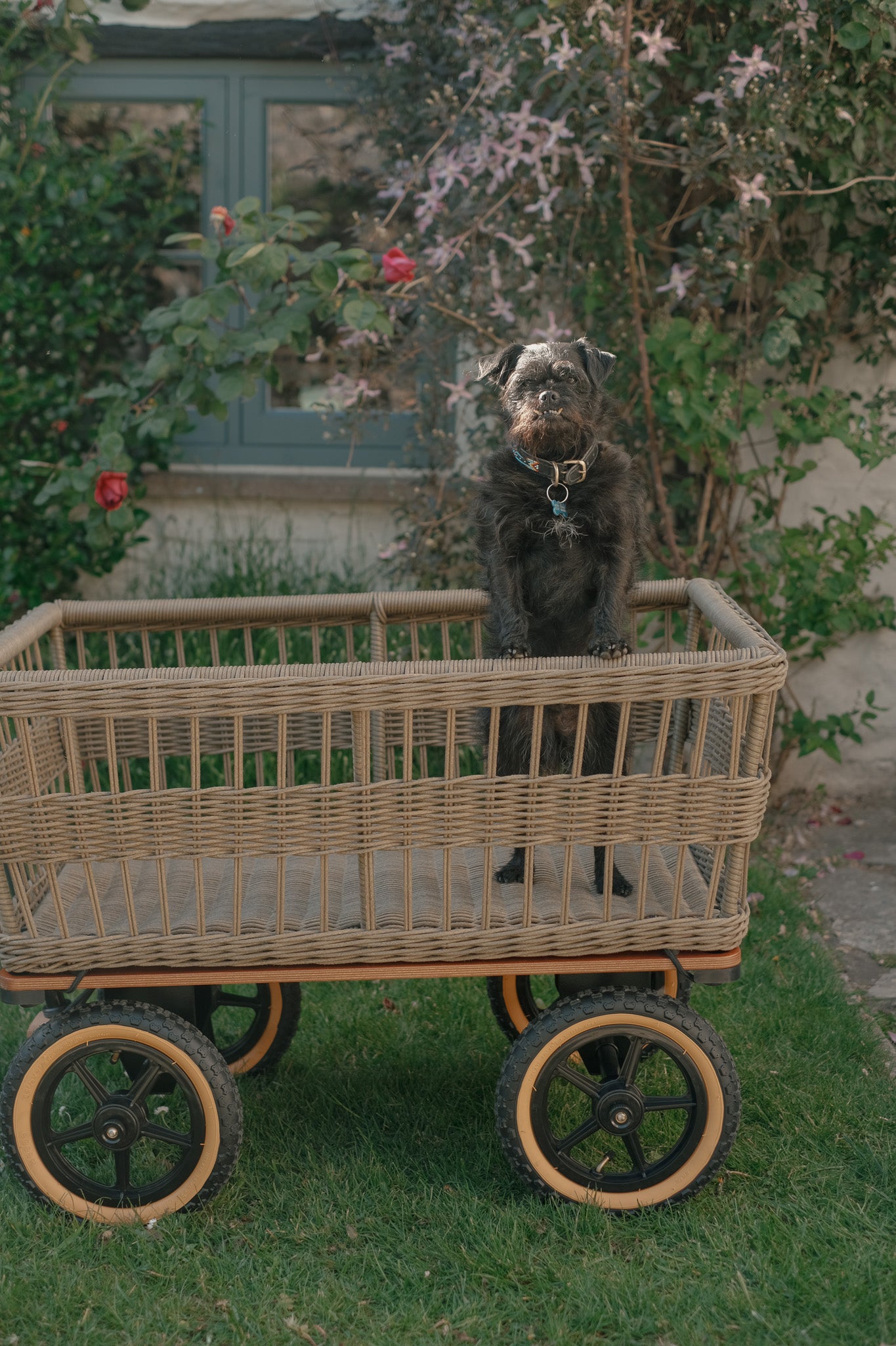 The Wicker Garden Wagon