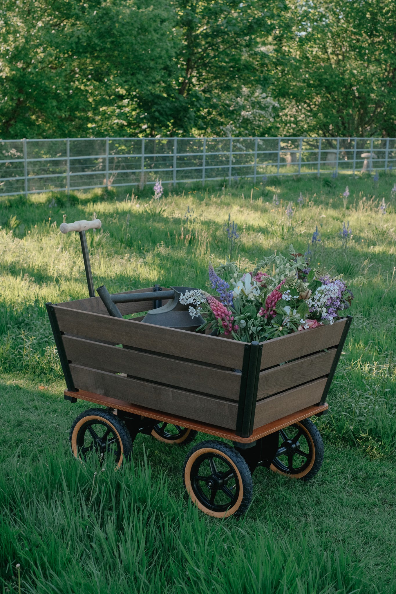 The Wagon