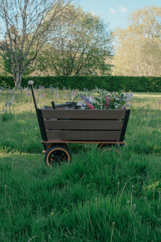 The Wagon