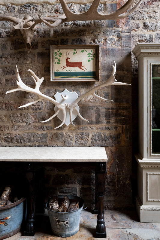 Large Scale 20th C Antlers