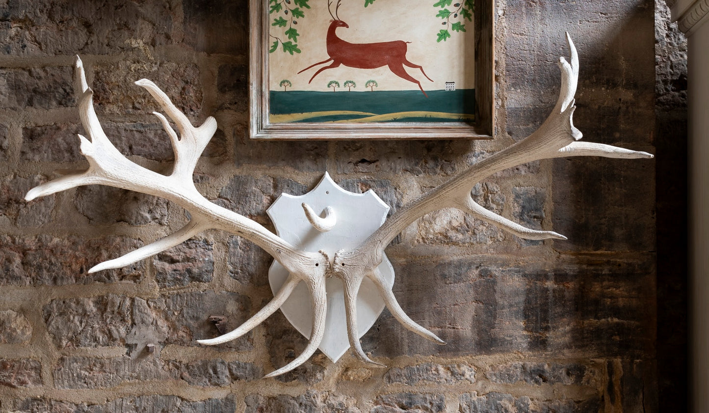 Large Scale 20th C Antlers