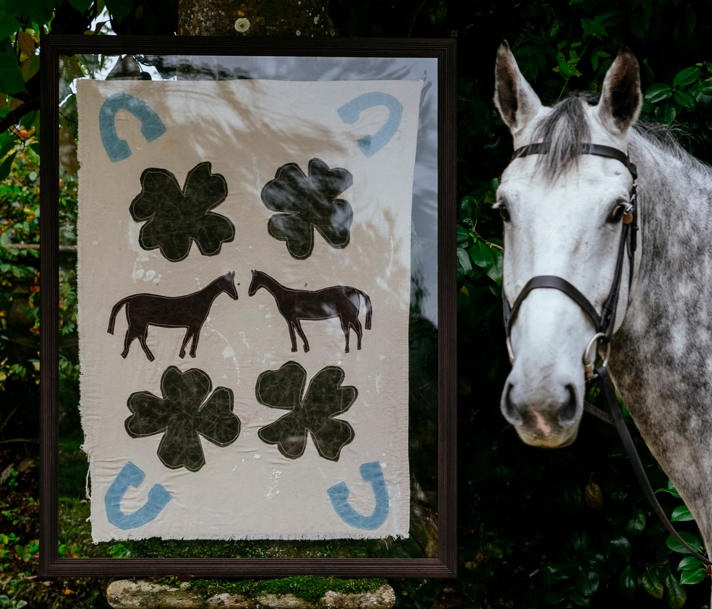 "Luck of the Irish" Framed Flag