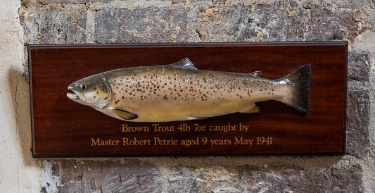 Carved Brown Trout Trophy