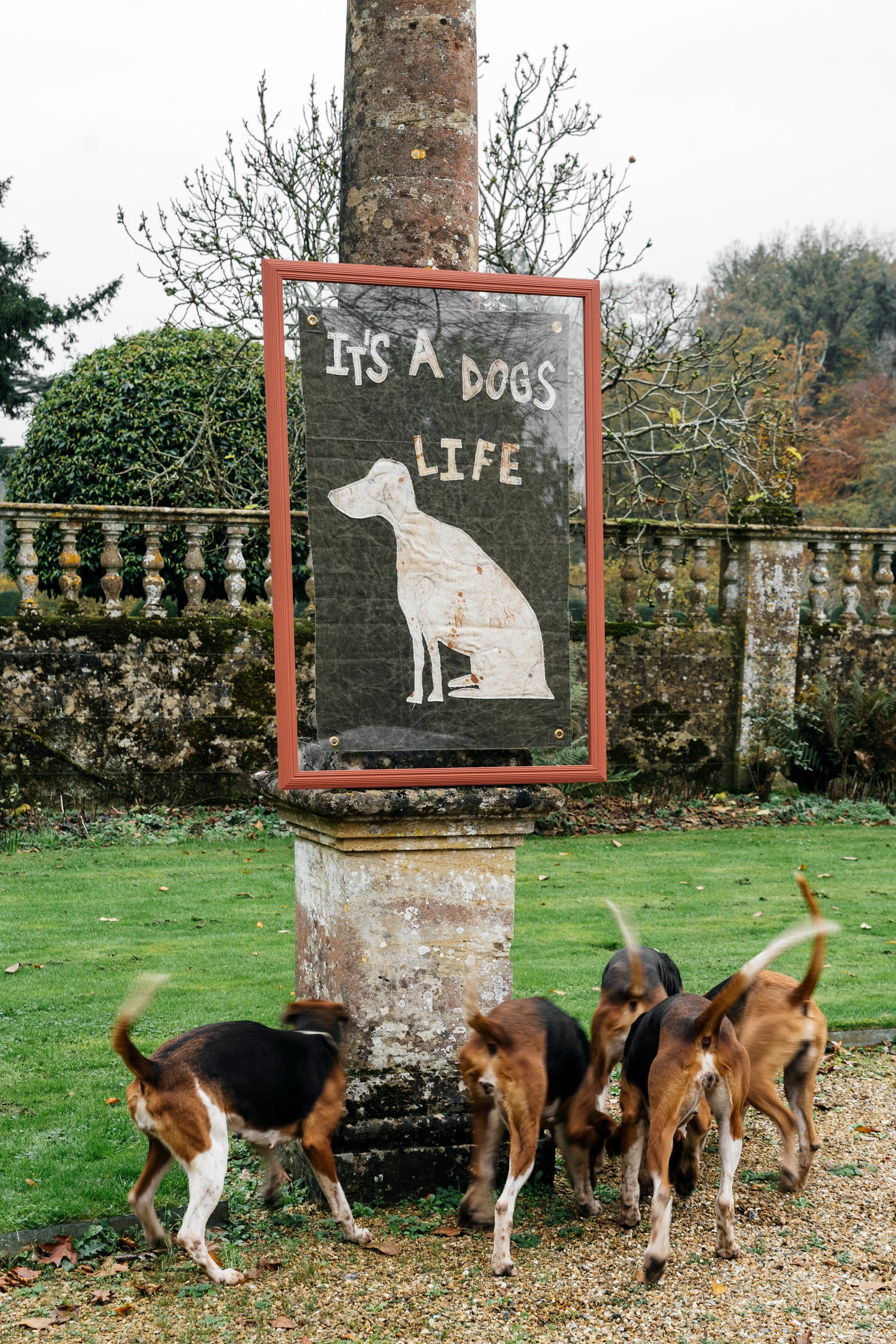 "It's a Dogs Life" Framed Flag