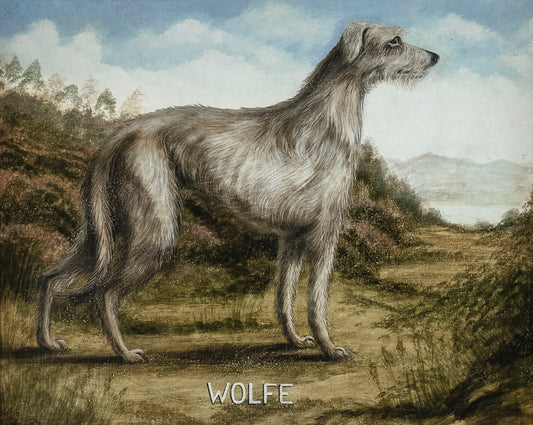 "Wolfe"