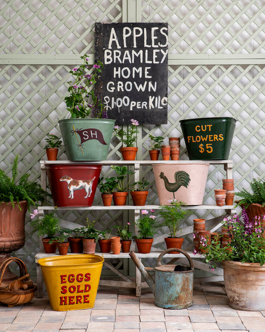 "Home Grown Apples"