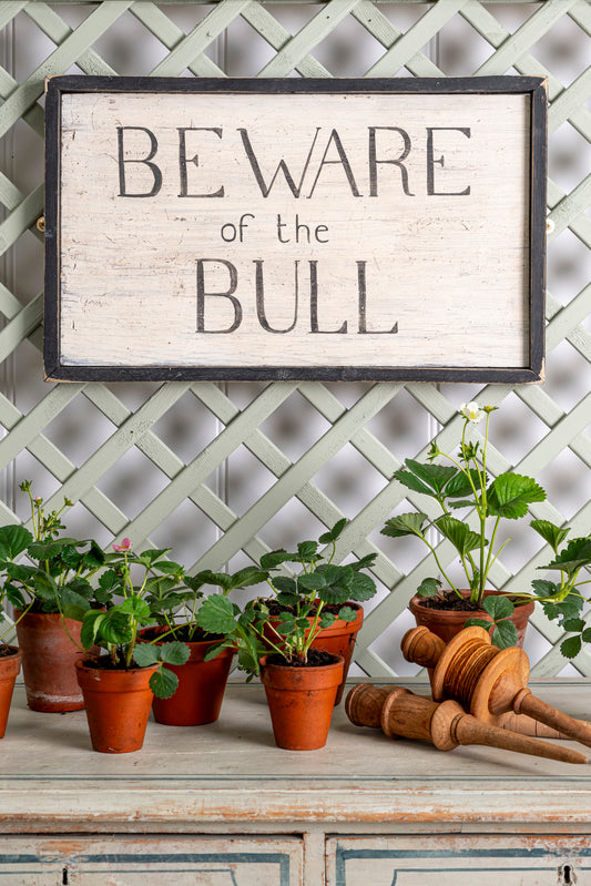 Beware of the Bull