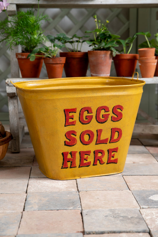 "Eggs Sold Here" Bucket