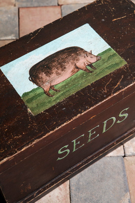 "Seeds" Box