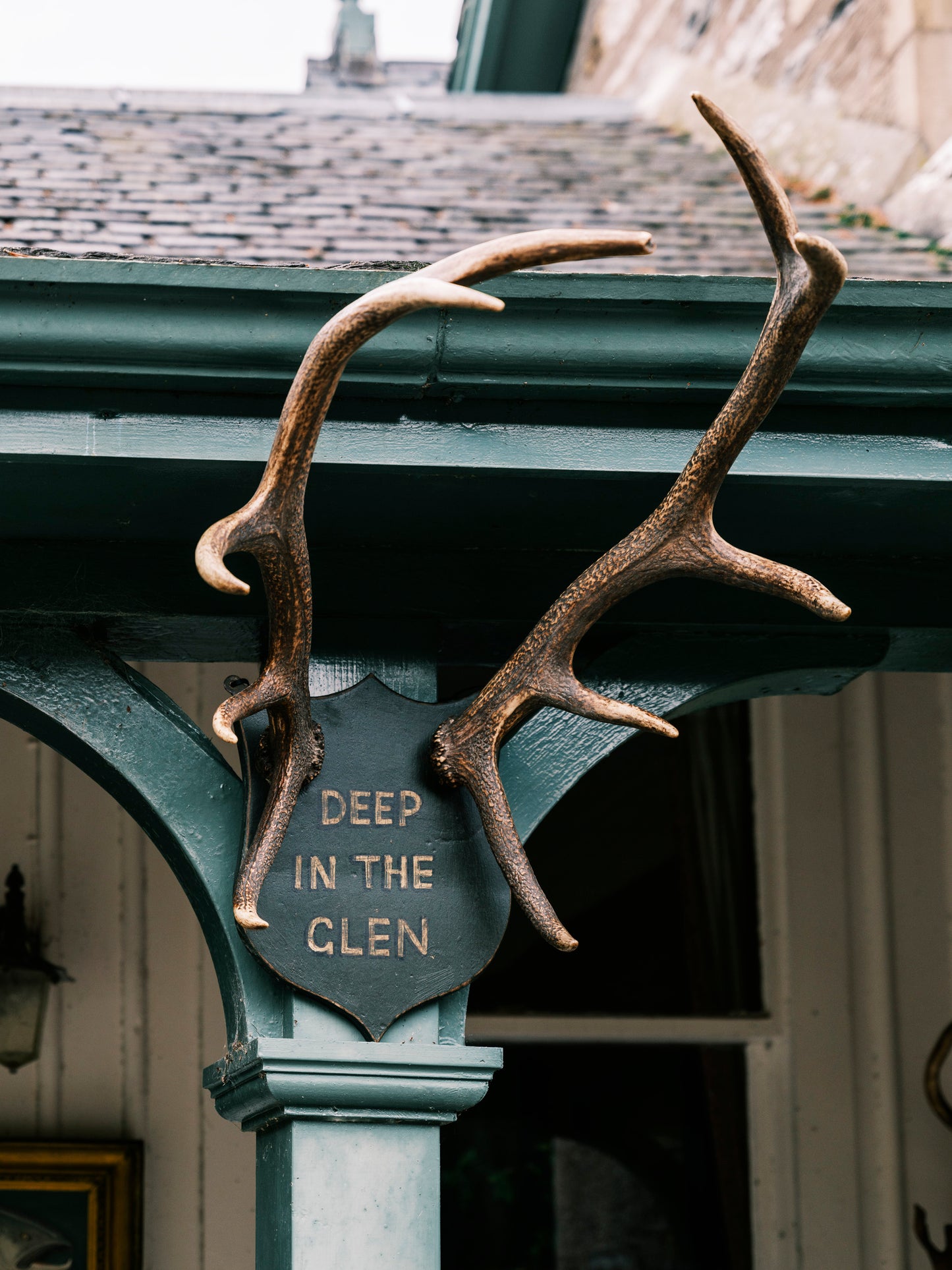 "Deep in the Glen" Mounted Antlers