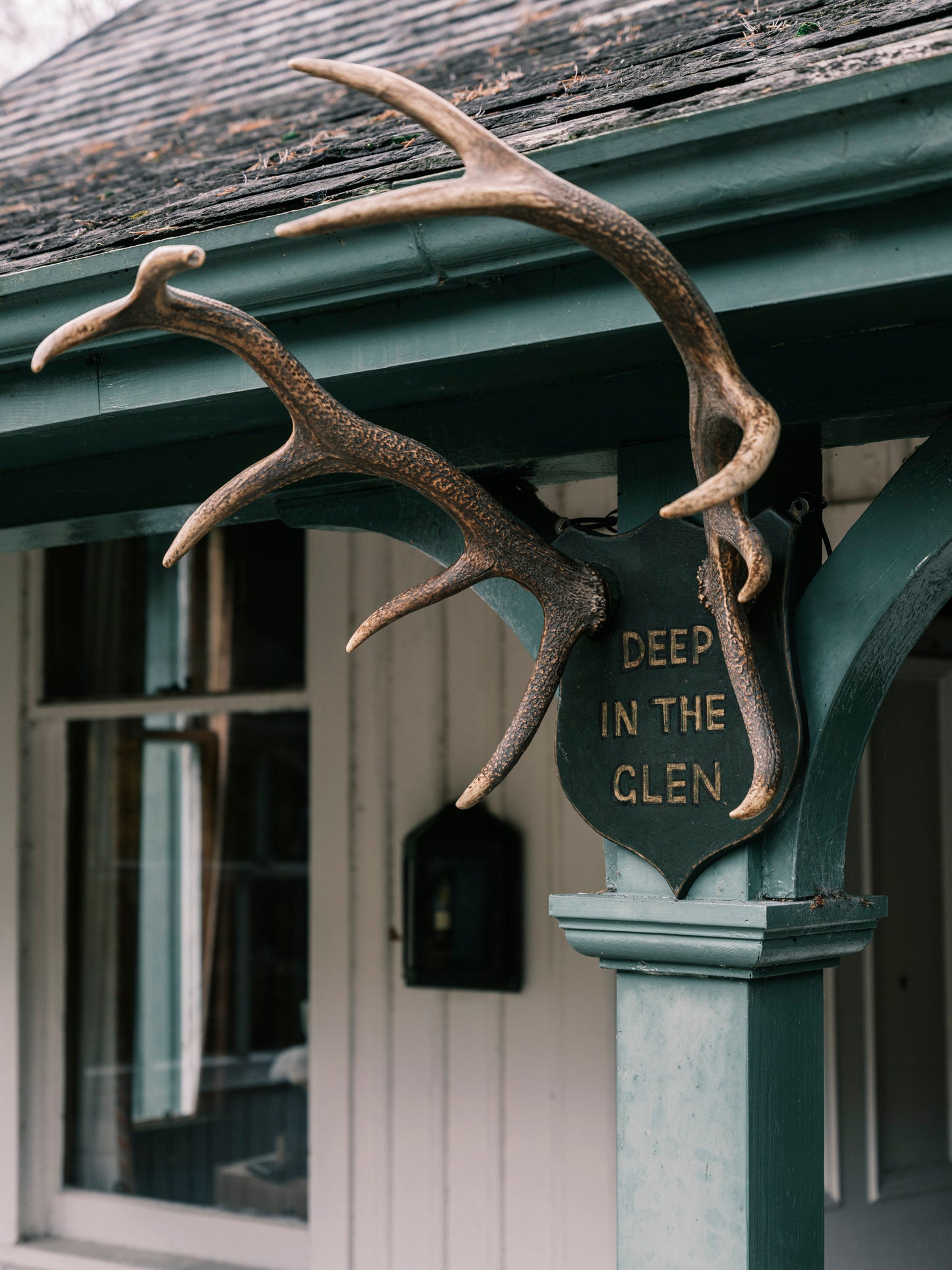 "Deep in the Glen" Mounted Antlers