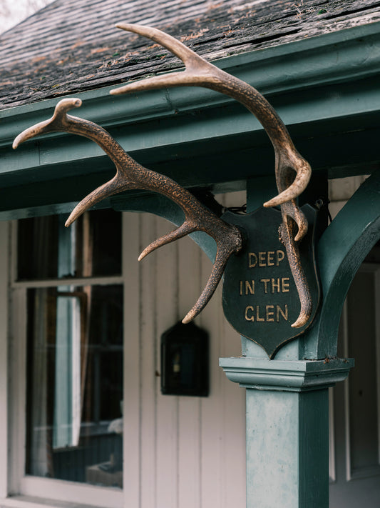 "Deep in the Glen" Mounted Antlers