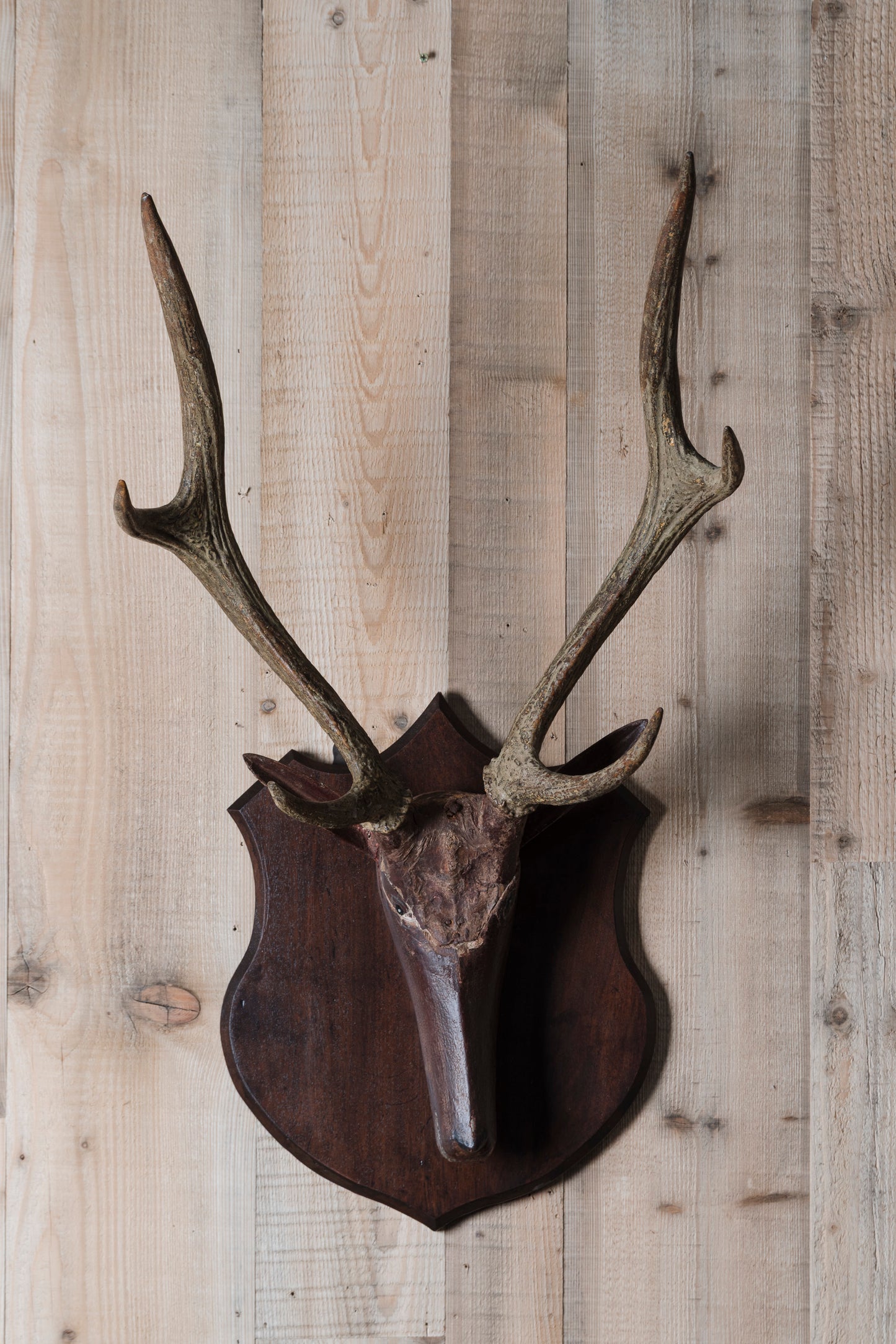 Carved Folk Art Stag Head