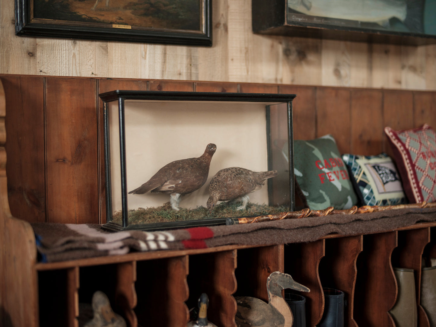 Pair of Red Grouse in Case