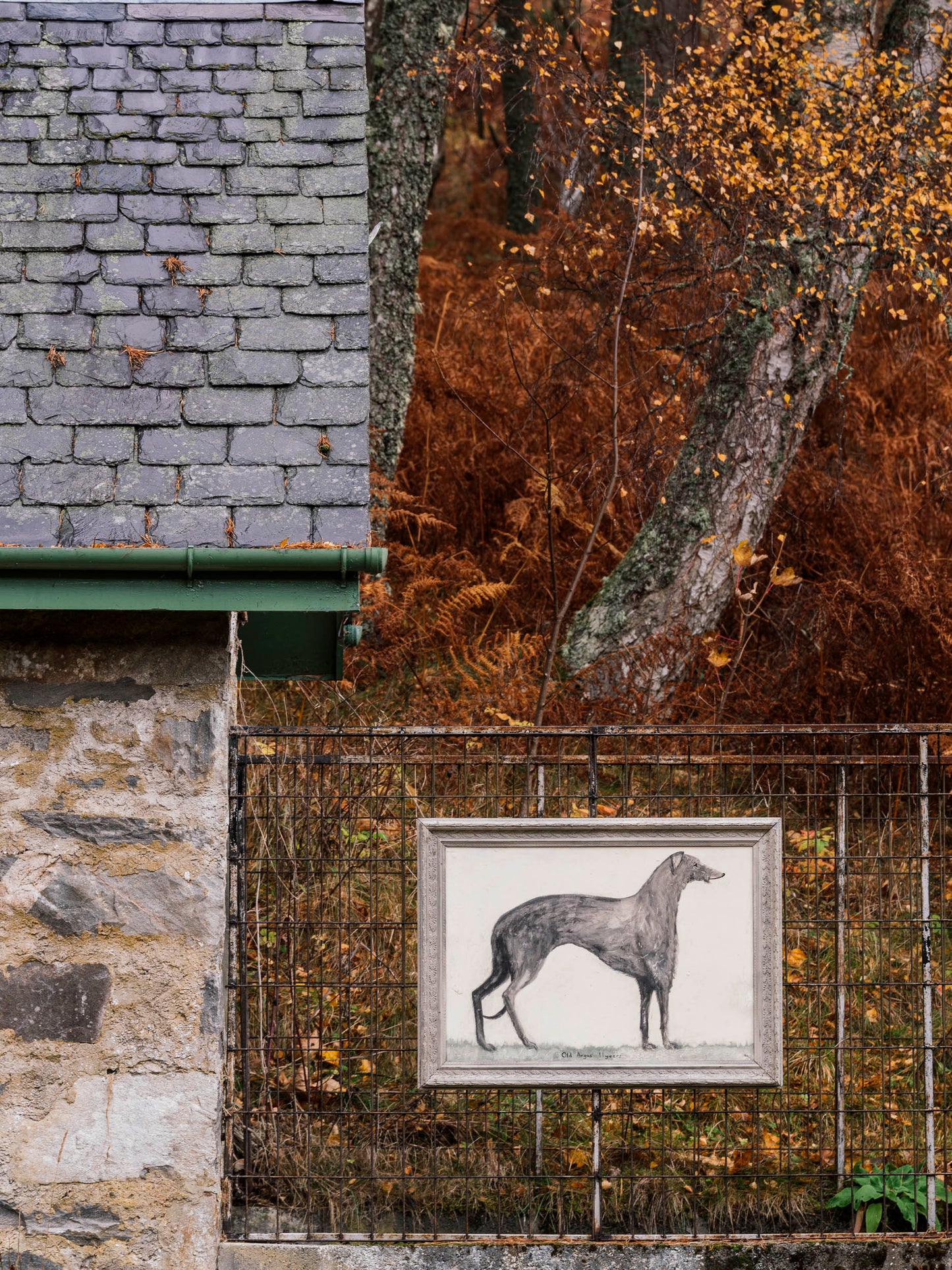 "Old Angus" Naive Painting