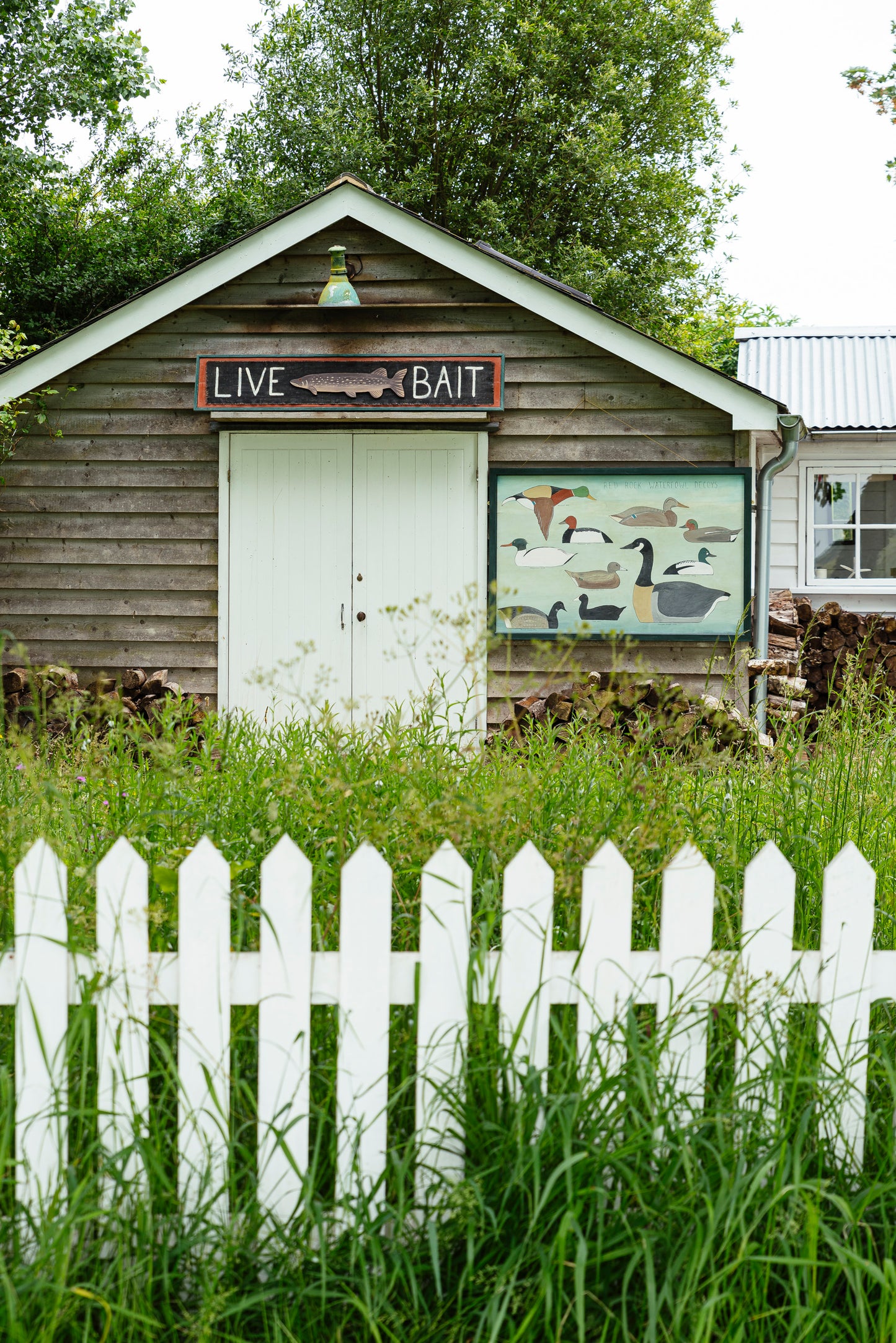 "Live Bait" Sign