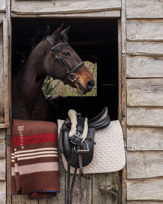 Luck of the Irish Fabric