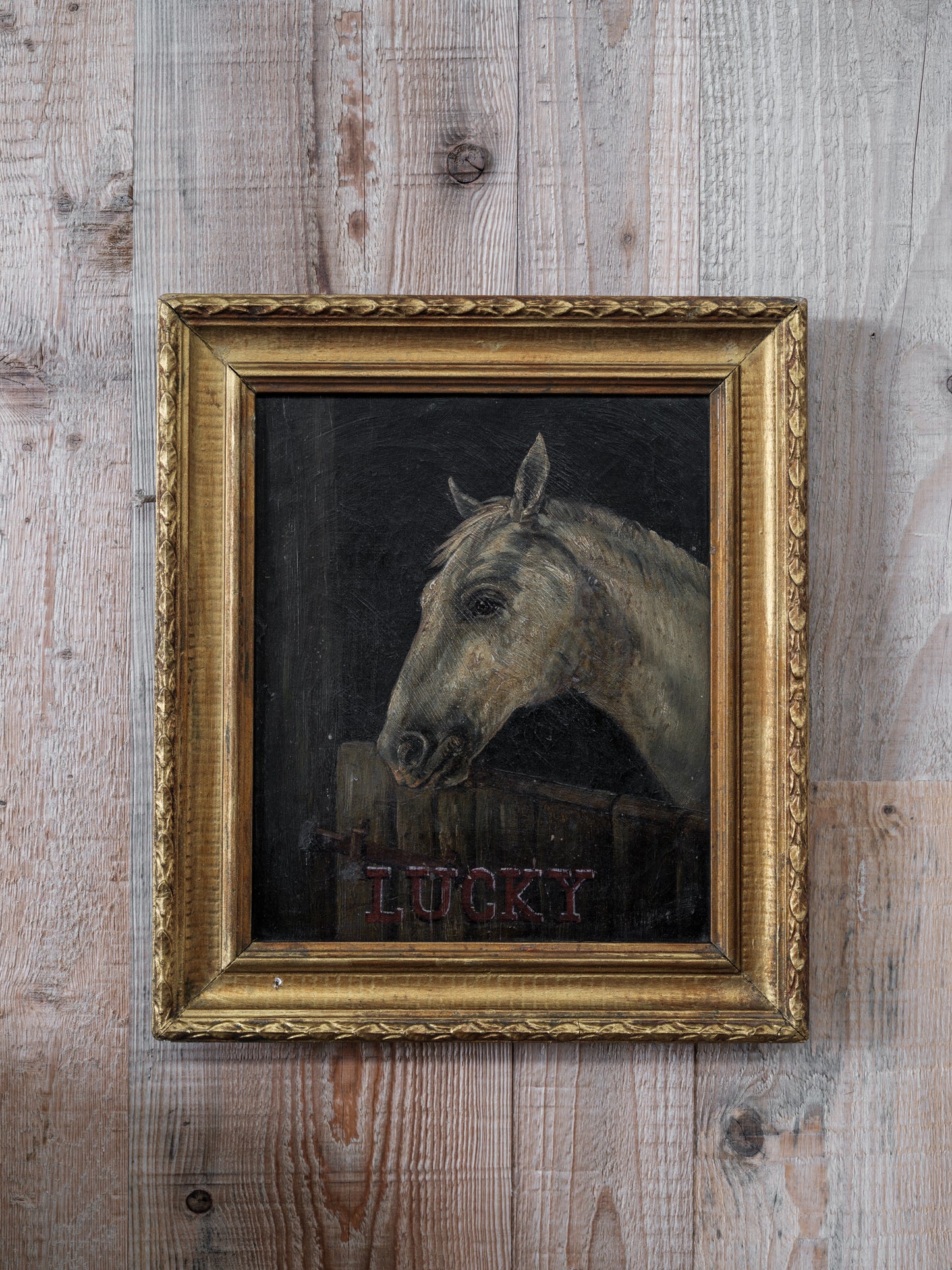 "Lucky" Horse Portrait